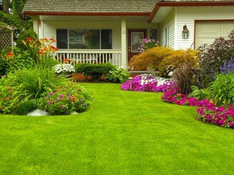 Eco-friendly landscaping and outdoor design solutions